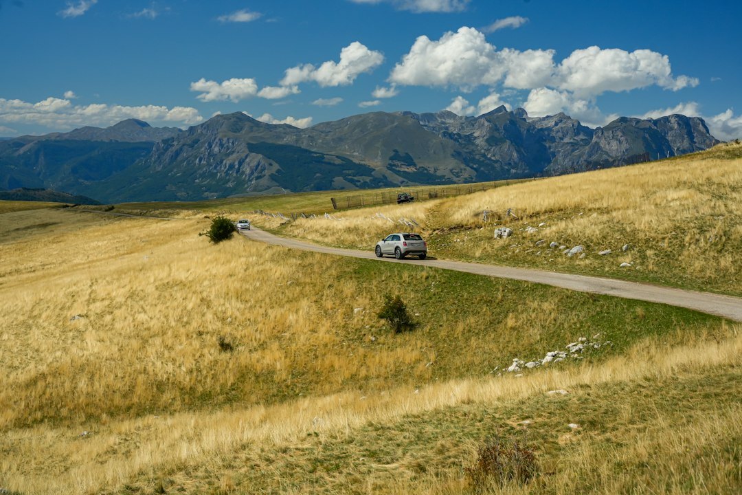 Pickup truck driving through open countryside